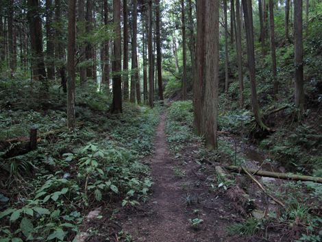 20161007hike (221)